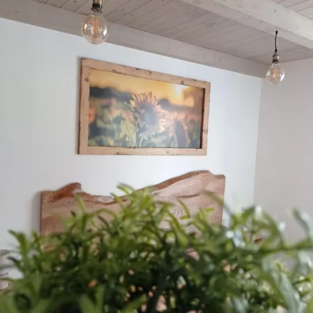 Casa Tofi Apartment